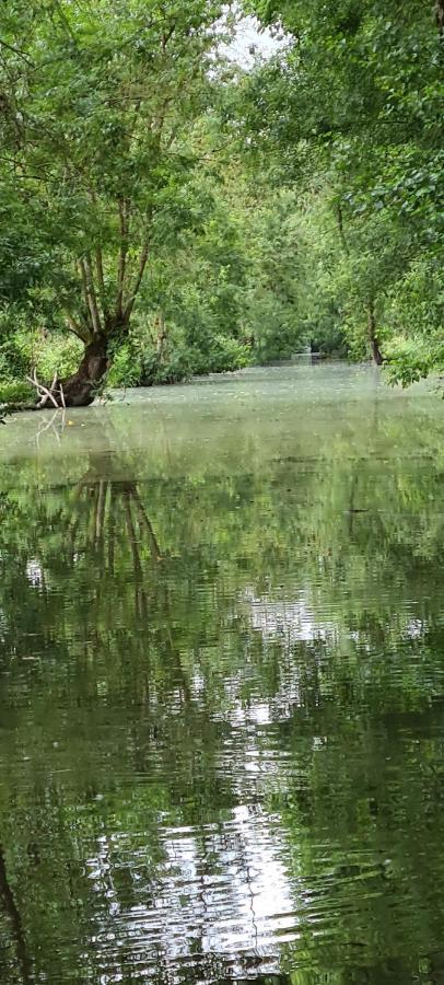 L'Enclos Bleu, Gite - Marais Poitevin Avec Piscine Chauffee Chaille-Les-Marais エクステリア 写真